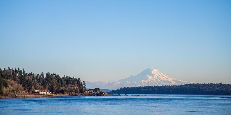 Panorama with mountain in the background